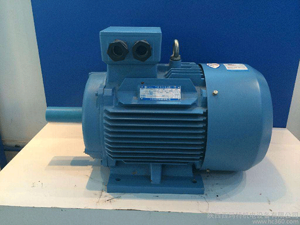 高效節(jié)能電機(jī)是西安泰富西瑪未來商業(yè)發(fā)展的方向。