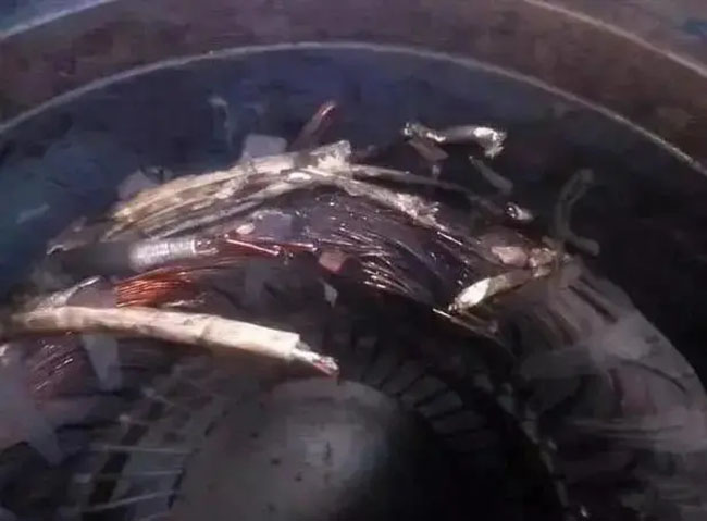 帶熱繼電器保護的電機頻繁燒毀的原因是什么？